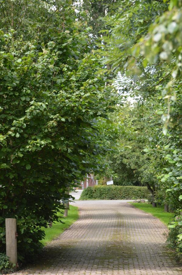 Nijeveen Bij Ons Op 20 Bed & Breakfast エクステリア 写真